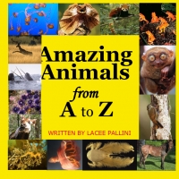 Amazing Animals From A to Z