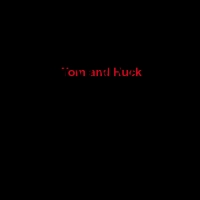 The Advetues of Tom Sawyer and Huck