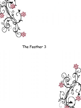 The Feather 3