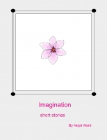 Imagination