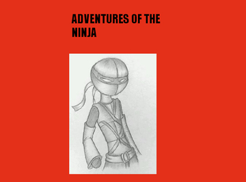 The Adventures of Stick Ninja