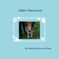 Duke's Snowcone