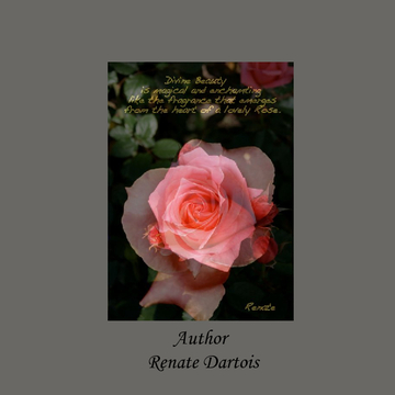 My Poems.
