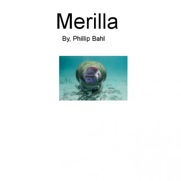 marilla