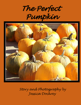 The Perfect Pumpkin