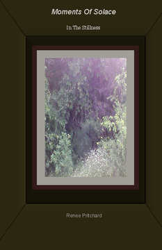 Moments Of Solace