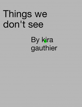 Things we don't see