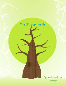 The Stroup Family