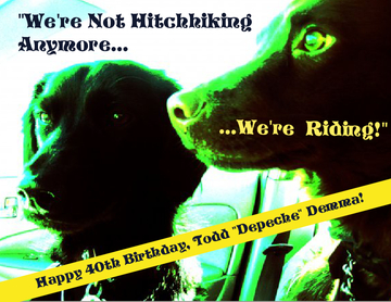 We're Not Hitckhiking Anymore. We're Riding!