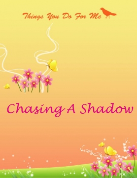 Chasing a shadow