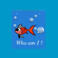 WHAT AM I ?
