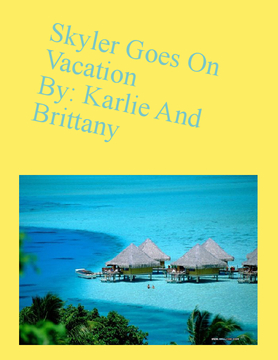 styler goes on vacation