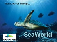 Take A Journey Through SeaWorld