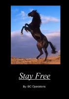 Stay Free