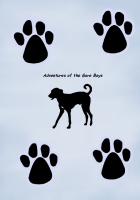 Adventures of the Gore Boys