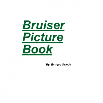 Bruiser