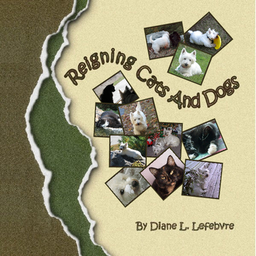 Reigning Cats And Dogs