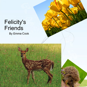 Felicity's Friends