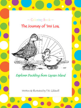 The Journey of 'Imi Loa