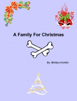 A Family For Christmas