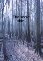 The Secret Side
