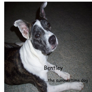 Bentley