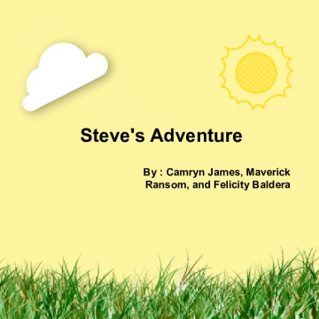 Steve's Adventures