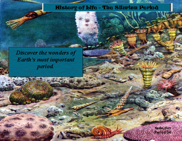 History of Life Book
