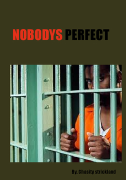 Nobodys Perfect