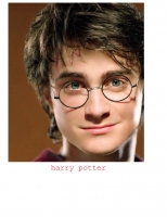 harry potters after life