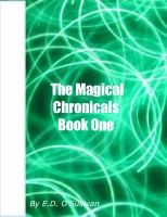 The Magical Chronicals Book One     