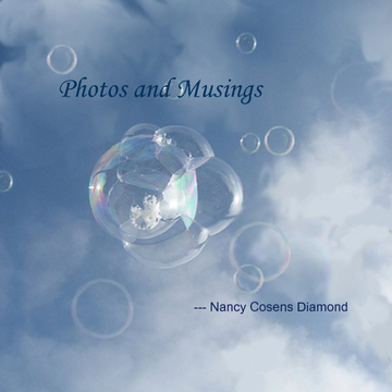 Photos & Musings