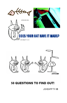 Does Your Cat Have it Made?