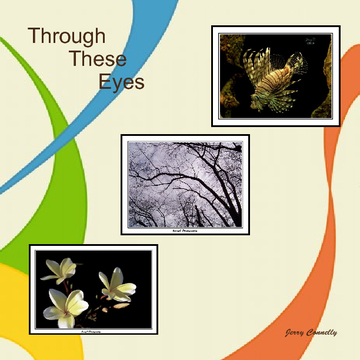 Through These Eyes