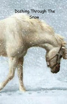 Dashing Through The Snow