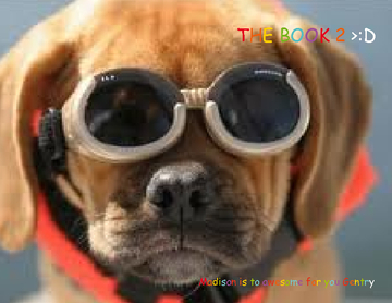 THE BOOK 2