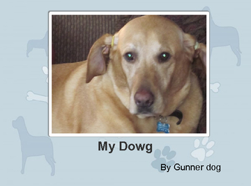 My Dowg