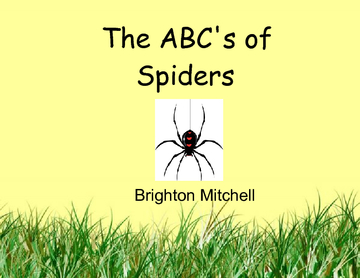 ABC Book of Spiders