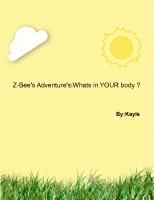Z-Bee's Adventures