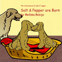 The Adventures of Salt and Pepper