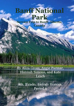 Boreal Forest