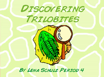 Discovering Trilobites