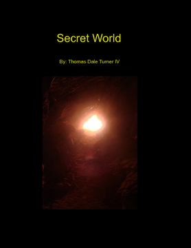 Secret World