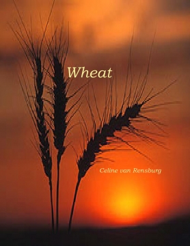 Wheat