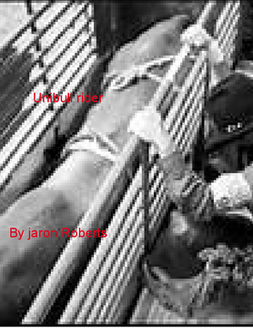 Unibull rider