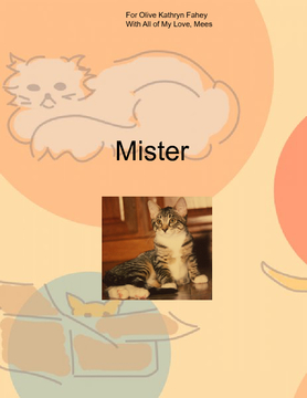 Mister