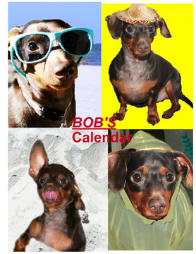 Bob the Dog