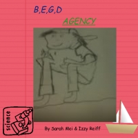 B.E.G.D. AGENCY