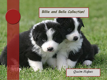 Billie and Bella Collection