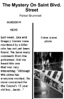 The Mystery on Saint Blvd. Street- The Mystery Series